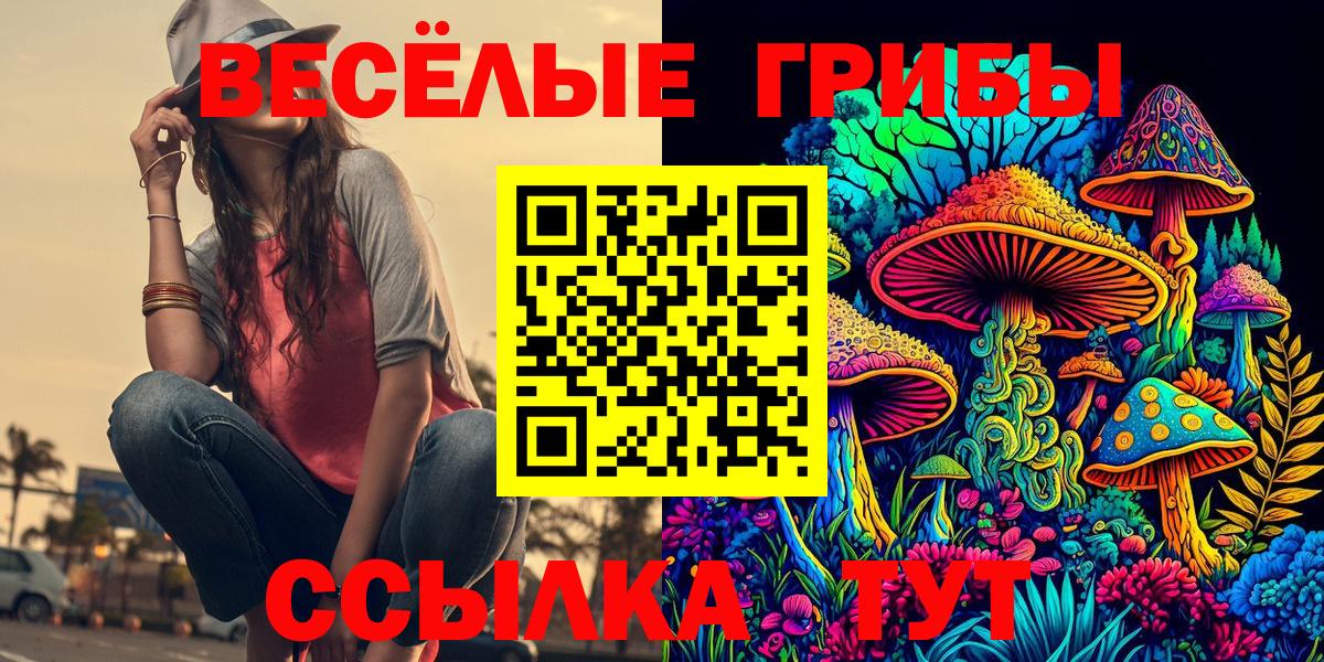Подольск  Псилоцибиновые грибы прущие грибы  Вход с VPN  Галлюциногенные грибы GOLDEN TEACHER 