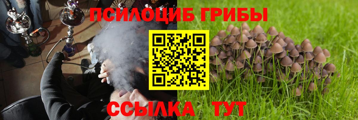 Галлюциногенные грибы Magic Shrooms Подольск